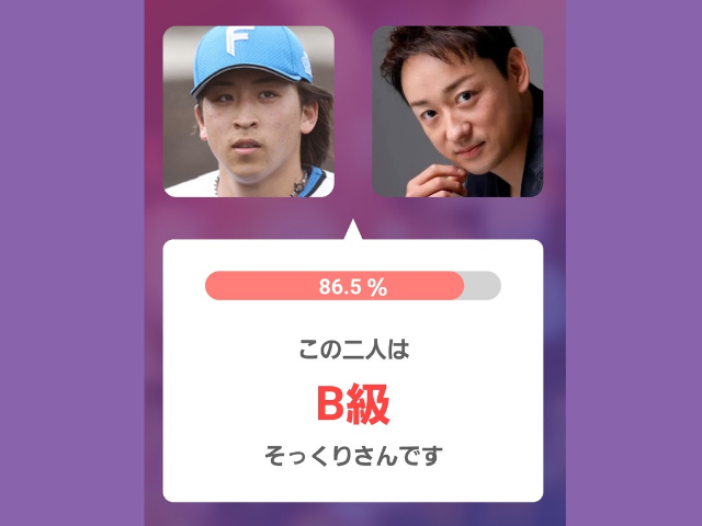 アプリ判定画像