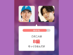 アプリ判定画像