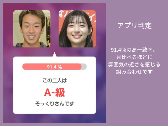 アプリ判定画像 91.4%の高一致 見比べるほど雰囲気に近さを感じる組み合わせです